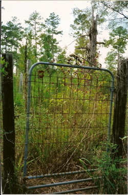 Ingram Cemetery