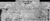 PICKLE - A selected piece of the 1841 Census for what is now Monroe County, Mississippi. PICKLE - A selected piece of the 1841 Census for what is now Monroe County, Mississippi.